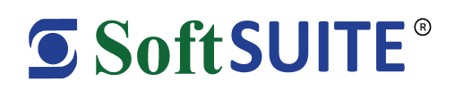 3 Steps to Run Payroll in Minutes with SoftSUITE